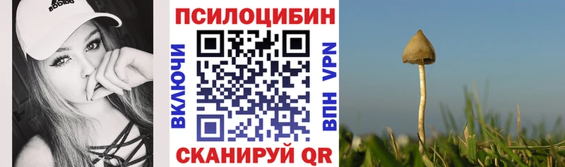 hydra как зайти  Сухиничи  Галлюциногенные грибы GOLDEN TEACHER 